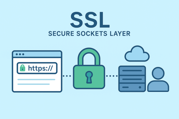 SSL Nedir?