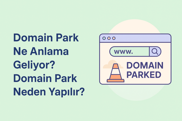 Domain Park Neden Yapılır? Ne Anlama Gelir?